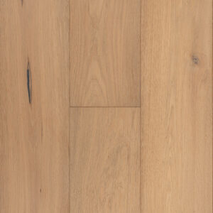 Affinity Collection Acclaim