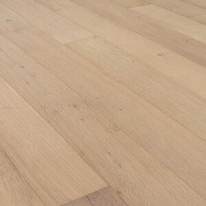 Affinity Collection Contour